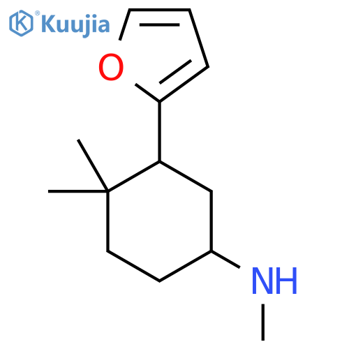 3-(furan-2-yl)-N,4,4-trimethylcyclohexan-1-amine structure