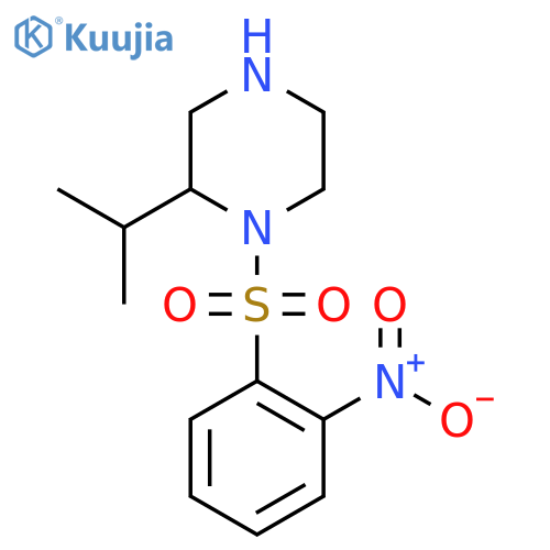 1-(2-Nitrobenzenesulfonyl)-2-(propan-2-yl)piperazine structure