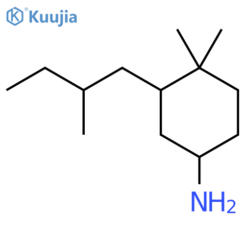 4,4-Dimethyl-3-(2-methylbutyl)cyclohexan-1-amine structure
