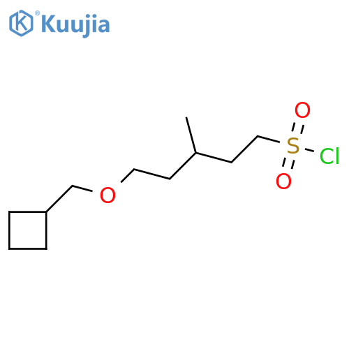 5-(cyclobutylmethoxy)-3-methylpentane-1-sulfonyl chloride structure