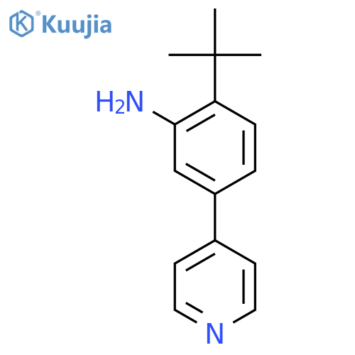 2-tert-butyl-5-(pyridin-4-yl)aniline structure