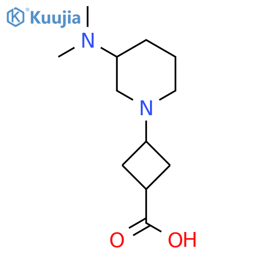 3-3-(dimethylamino)piperidin-1-ylcyclobutane-1-carboxylic acid structure