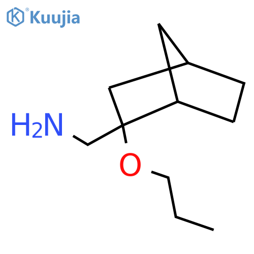 {2-propoxybicyclo2.2.1heptan-2-yl}methanamine structure