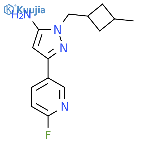 3-(6-fluoropyridin-3-yl)-1-(3-methylcyclobutyl)methyl-1H-pyrazol-5-amine structure