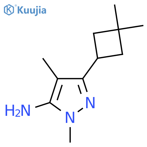 3-(3,3-dimethylcyclobutyl)-1,4-dimethyl-1H-pyrazol-5-amine structure