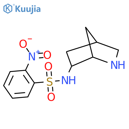 N-{2-azabicyclo2.2.1heptan-6-yl}-2-nitrobenzene-1-sulfonamide structure