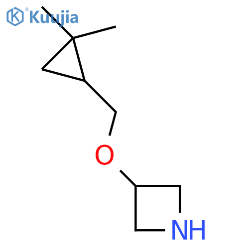 3-(2,2-dimethylcyclopropyl)methoxyazetidine structure