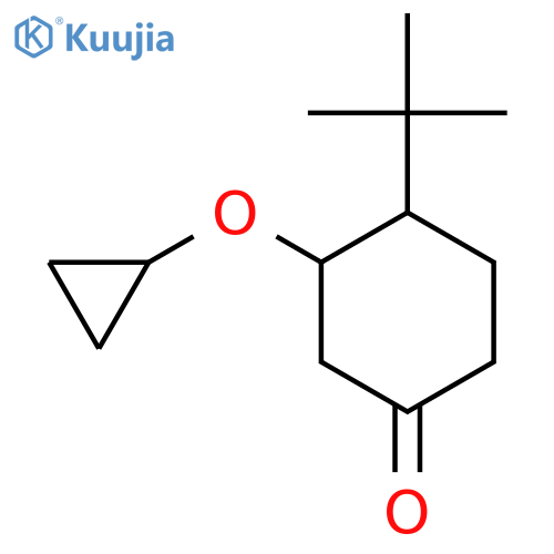 4-Tert-butyl-3-cyclopropoxycyclohexan-1-one structure