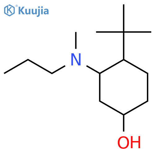 4-Tert-butyl-3-[methyl(propyl)amino]cyclohexan-1-ol structure