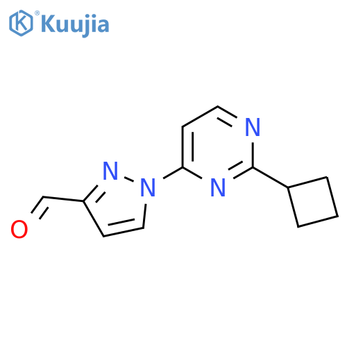 1-(2-cyclobutylpyrimidin-4-yl)-1H-pyrazole-3-carbaldehyde structure