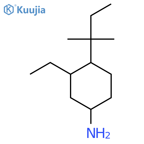 3-Ethyl-4-(2-methylbutan-2-yl)cyclohexan-1-amine structure