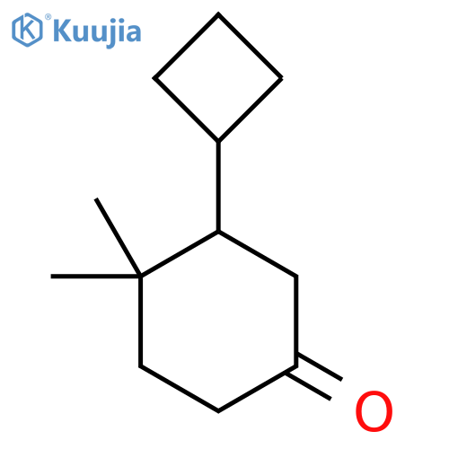 3-Cyclobutyl-4,4-dimethylcyclohexan-1-one structure