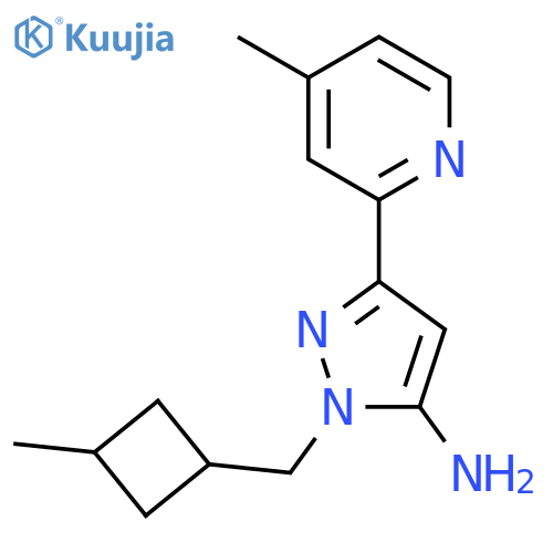 1-(3-methylcyclobutyl)methyl-3-(4-methylpyridin-2-yl)-1H-pyrazol-5-amine structure