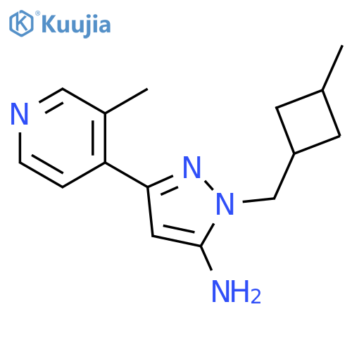 1-(3-methylcyclobutyl)methyl-3-(3-methylpyridin-4-yl)-1H-pyrazol-5-amine structure