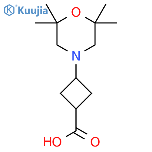 3-(2,2,6,6-tetramethylmorpholin-4-yl)cyclobutane-1-carboxylic acid structure