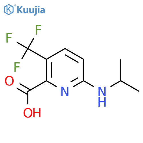 6-(propan-2-yl)amino-3-(trifluoromethyl)pyridine-2-carboxylic acid structure