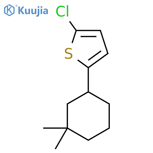 2-Chloro-5-(3,3-dimethylcyclohexyl)thiophene structure