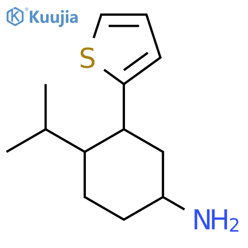 4-(Propan-2-yl)-3-(thiophen-2-yl)cyclohexan-1-amine structure