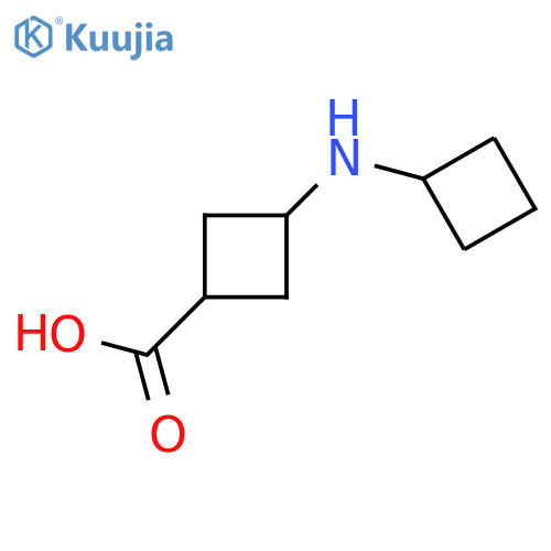 3-(cyclobutylamino)cyclobutane-1-carboxylic acid structure