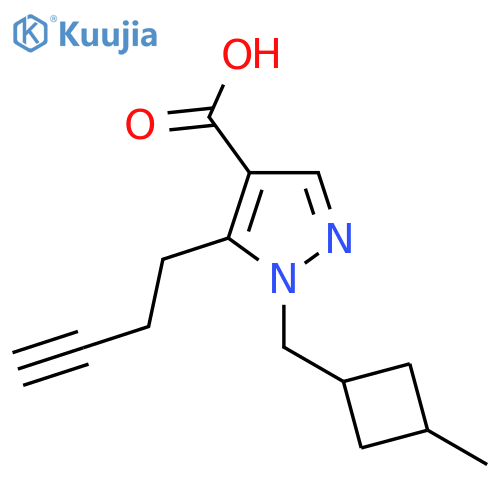 5-(but-3-yn-1-yl)-1-(3-methylcyclobutyl)methyl-1H-pyrazole-4-carboxylic acid structure