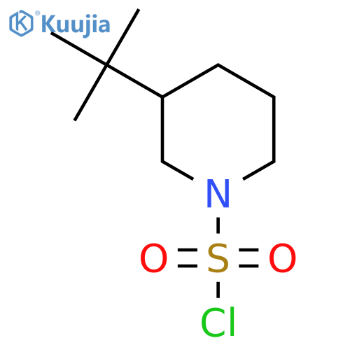 3-Tert-butylpiperidine-1-sulfonyl chloride structure