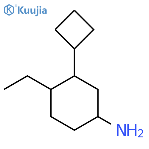 3-Cyclobutyl-4-ethylcyclohexan-1-amine structure