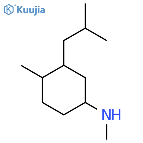N,4-dimethyl-3-(2-methylpropyl)cyclohexan-1-amine structure