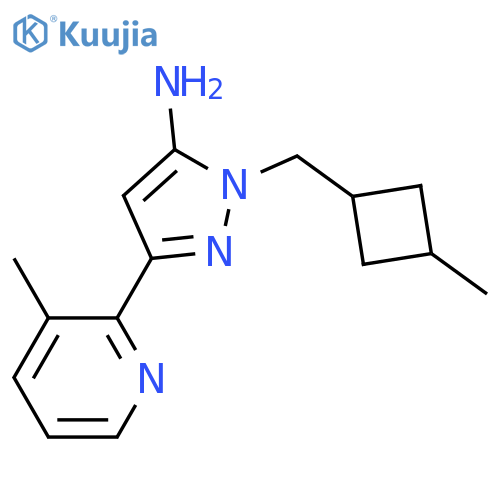 1-(3-methylcyclobutyl)methyl-3-(3-methylpyridin-2-yl)-1H-pyrazol-5-amine structure