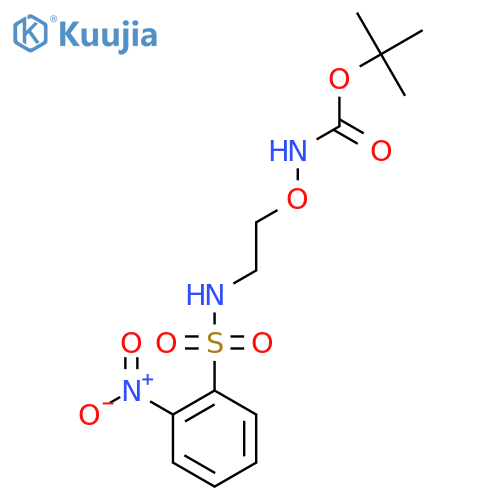 tert-butyl N-2-(2-nitrobenzenesulfonamido)ethoxycarbamate structure