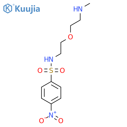 N-{2-2-(methylamino)ethoxyethyl}-4-nitrobenzene-1-sulfonamide structure