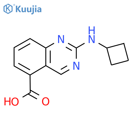 2-(cyclobutylamino)quinazoline-5-carboxylic acid structure