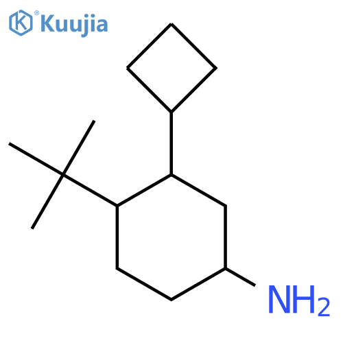 4-Tert-butyl-3-cyclobutylcyclohexan-1-amine structure
