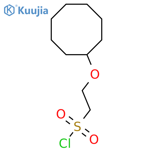2-(cyclooctyloxy)ethane-1-sulfonyl chloride structure