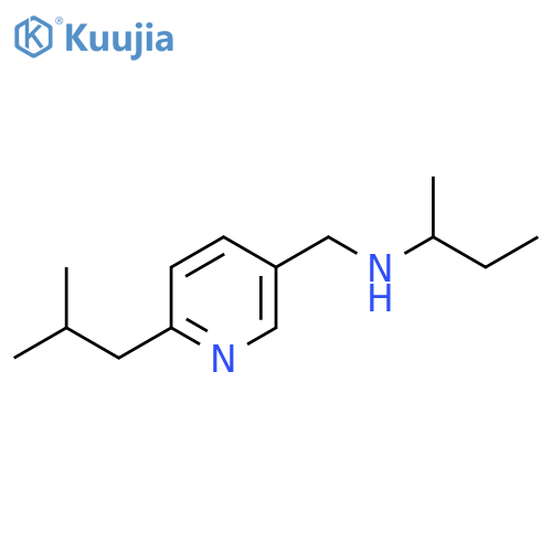 (Butan-2-yl)({[6-(2-methylpropyl)pyridin-3-yl]methyl})amine structure