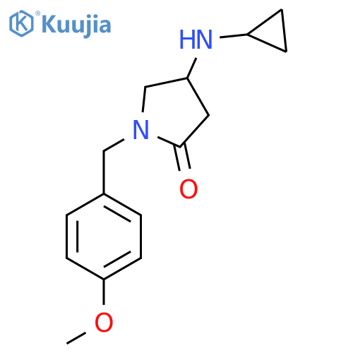 4-(Cyclopropylamino)-1-[(4-methoxyphenyl)methyl]pyrrolidin-2-one structure