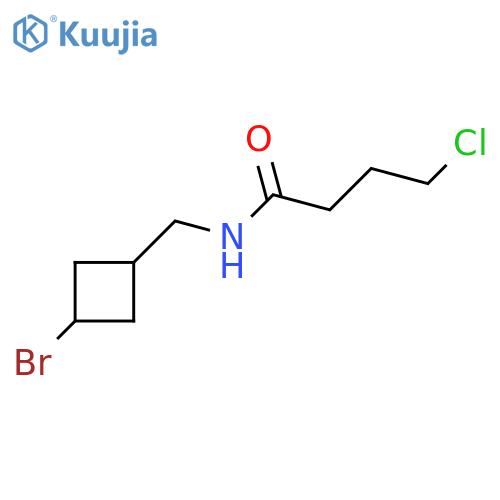 N-[(3-bromocyclobutyl)methyl]-4-chlorobutanamide structure