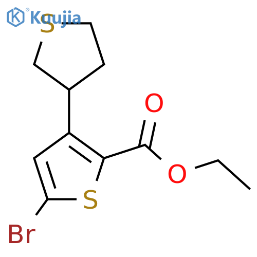 Ethyl 5-bromo-3-(thiolan-3-yl)thiophene-2-carboxylate structure