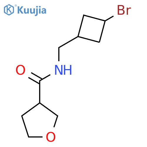 N-[(3-bromocyclobutyl)methyl]oxolane-3-carboxamide structure