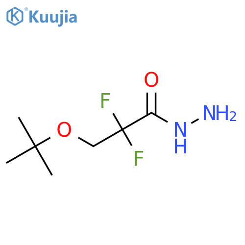 3-(Tert-butoxy)-2,2-difluoropropanehydrazide structure