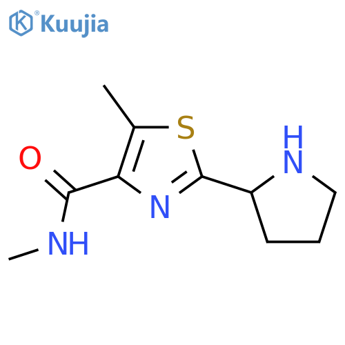 N,5-dimethyl-2-(pyrrolidin-2-yl)-1,3-thiazole-4-carboxamide structure
