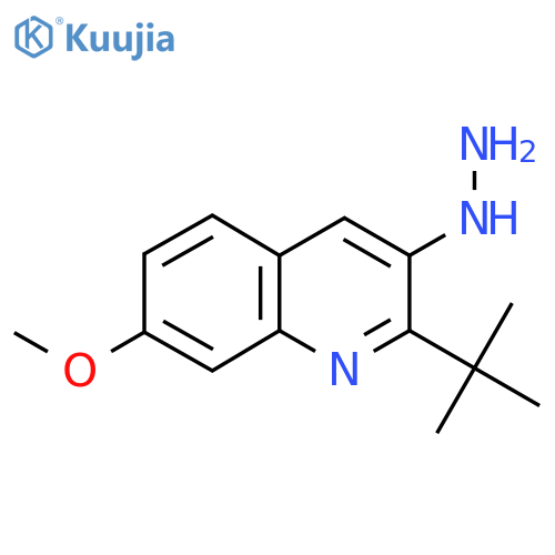 2-Tert-butyl-3-hydrazinyl-7-methoxyquinoline structure