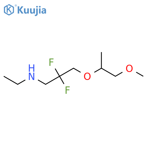 N-ethyl-2,2-difluoro-3-(1-methoxypropan-2-yloxy)propan-1-amine structure