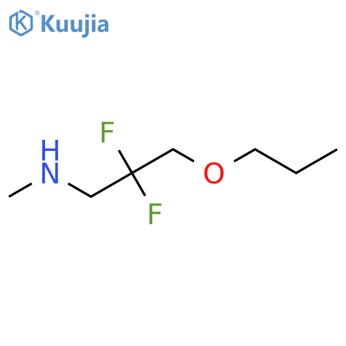 (2,2-Difluoro-3-propoxypropyl)(methyl)amine structure