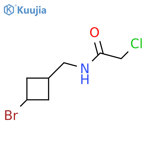 N-[(3-bromocyclobutyl)methyl]-2-chloroacetamide structure