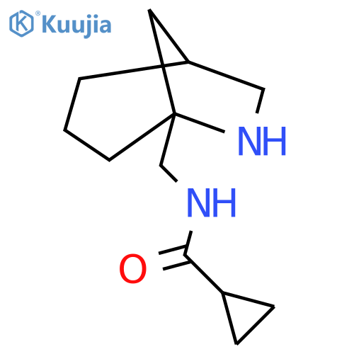 N-({6-azabicyclo[3.2.1]octan-5-yl}methyl)cyclopropanecarboxamide structure