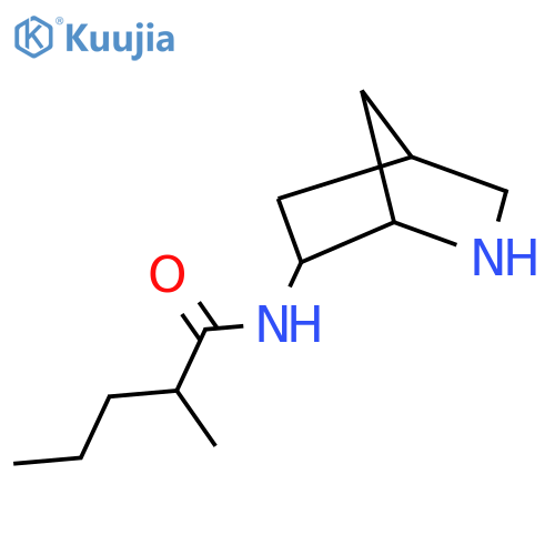 N-{2-azabicyclo[2.2.1]heptan-6-yl}-2-methylpentanamide structure