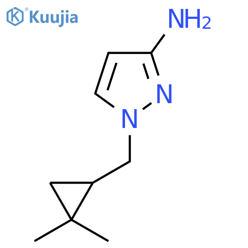 1-(2,2-dimethylcyclopropyl)methyl-1H-pyrazol-3-amine structure