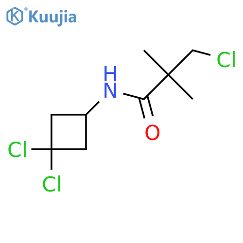 3-chloro-N-(3,3-dichlorocyclobutyl)-2,2-dimethylpropanamide structure