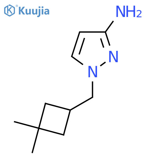 1-(3,3-dimethylcyclobutyl)methyl-1H-pyrazol-3-amine structure