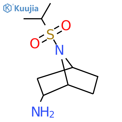 7-(Propane-2-sulfonyl)-7-azabicyclo[2.2.1]heptan-2-amine structure